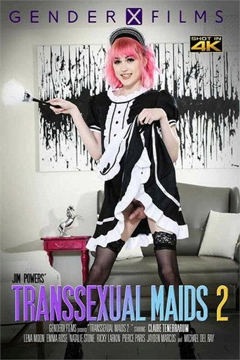 Movie poster for Transsexual Maids 2 (2022)