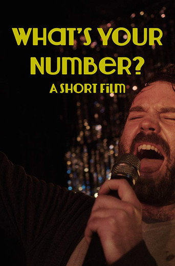 Movie poster for What's Your Number (2018)