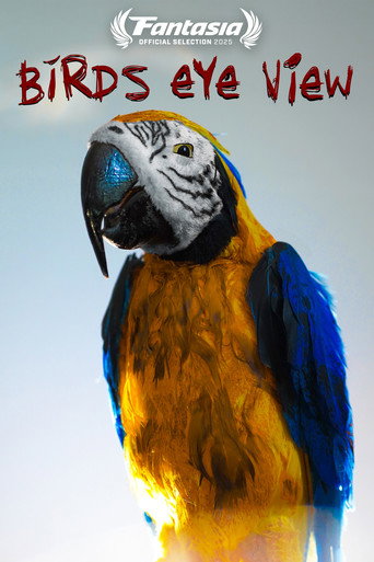 Movie poster for Bird's Eye View (2025)