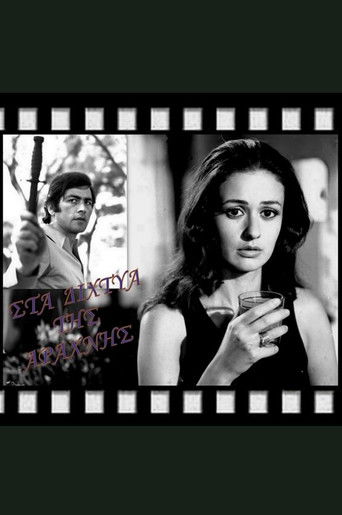 In the Spider's Web poster