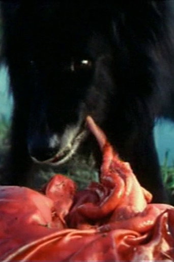 Movie poster for Hostel Party (1990)