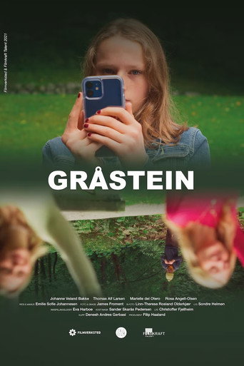Movie poster for Gråstein (2021)