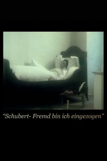 Movie poster for I Came As a Stranger (1978)
