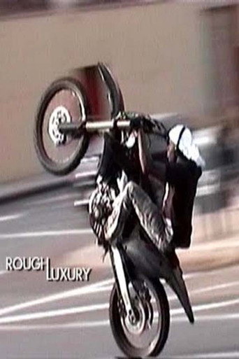 Movie poster for Rough Luxury (2017)