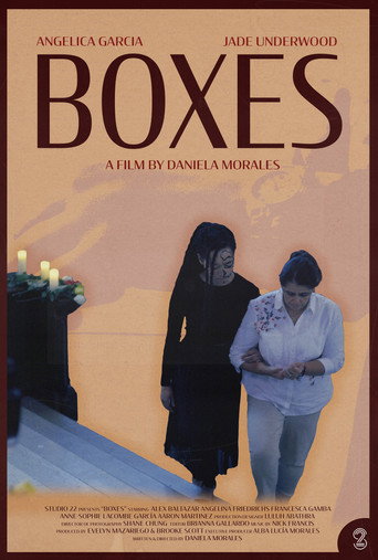 Movie poster for Boxes