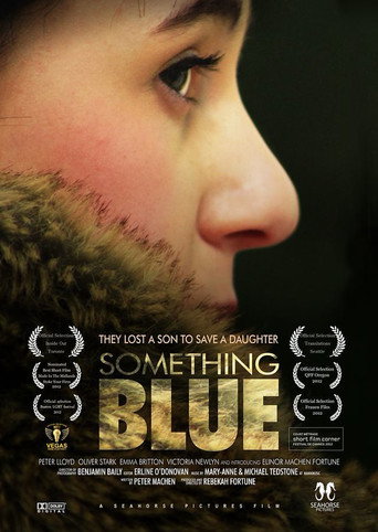 Movie poster for Something Blue (2011)