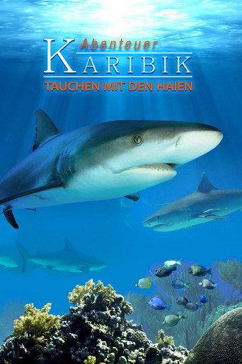 Movie poster for Adventure Caribbean 3D: Diving With Sharks (2012)