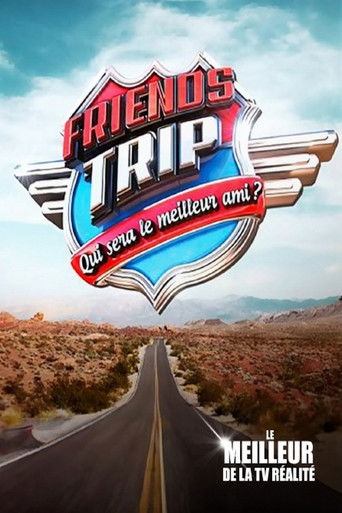 Friends Trip poster