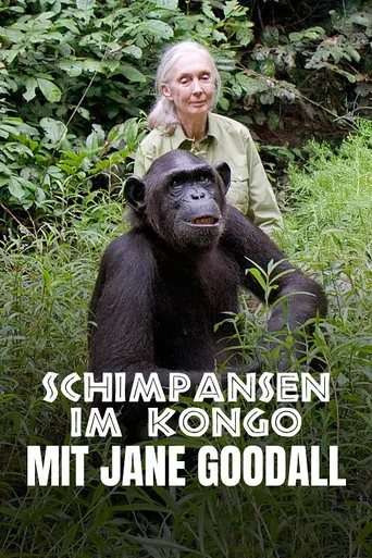 Movie poster for Schimpansen im Kongo mit Jane Goodall (2021)