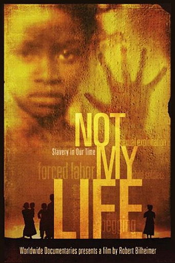 Movie poster for Not My Life (2011)