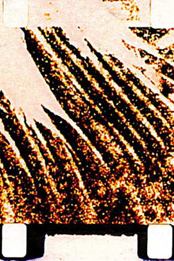 Song of the Mushroom poster