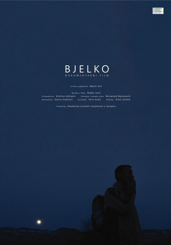 Movie poster for Bjelko (2021)