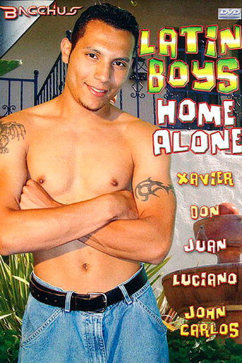 Movie poster for Latin Boys Home Alone (2006)