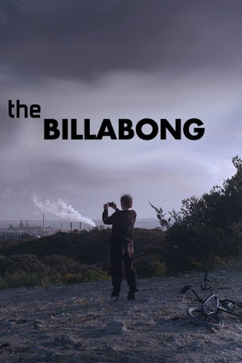 The Billabong poster