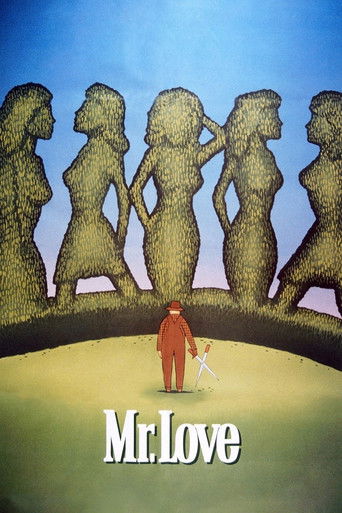 Mr. Love poster