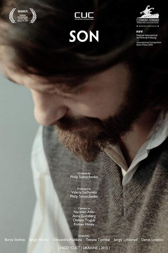 Movie poster for Son (2015)