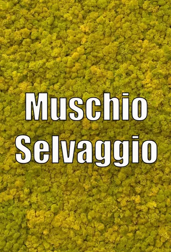 Series poster for Wild Musk (2020)