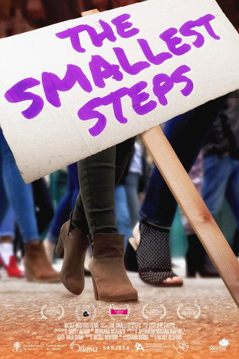 Movie poster for The smallest steps