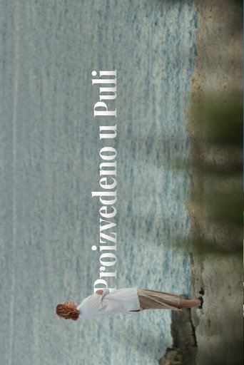 Movie poster for Made in Pula (2022)