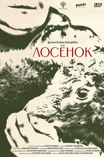 Movie poster for The Elk Calf (2023)
