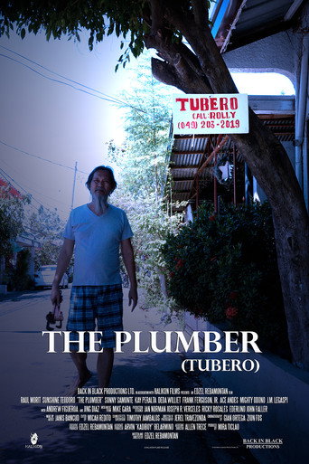 Movie poster for The Plumber (2019)