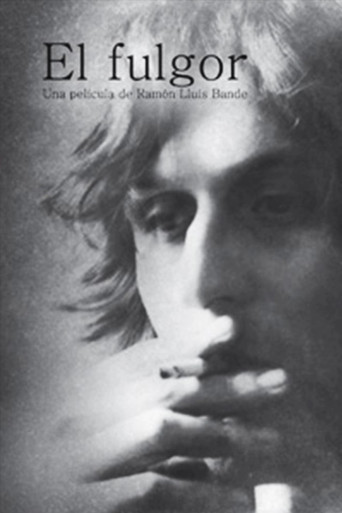 Movie poster for El Fulgor (2002)