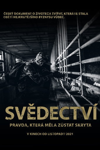 Movie poster for Svědectví: Pravda, která měla zůstat skryta (2021)