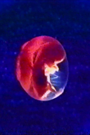 Movie poster for Audio and Visual Experiment 23 (2025)