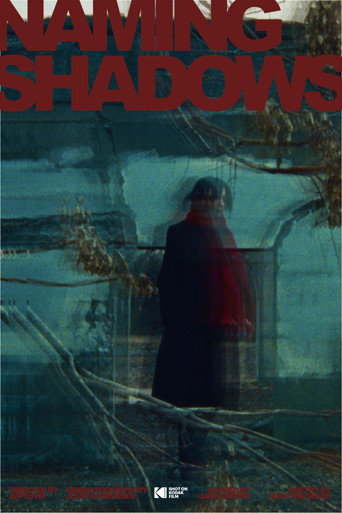 Movie poster for Naming Shadows (2026)