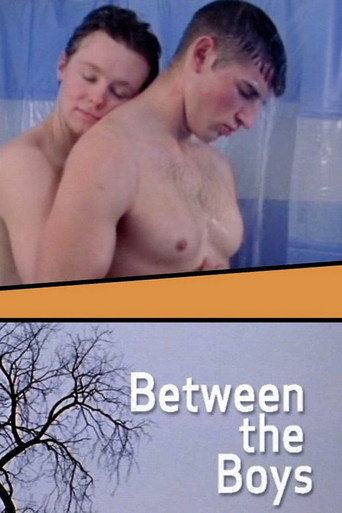 Movie poster for Between the Boys (2004)