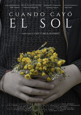 Movie poster for Cuando cayó el sol (2022)