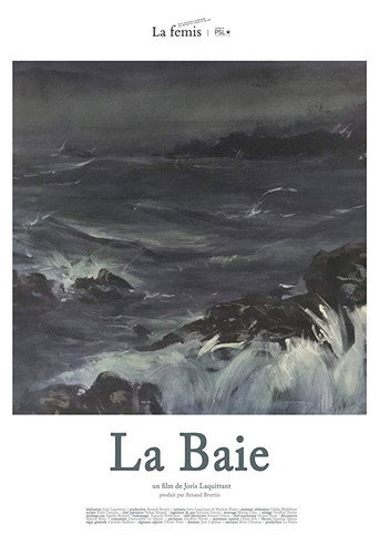 Movie poster for La Baie (2017)