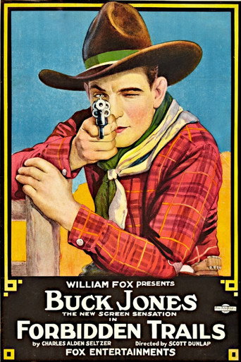 Movie poster for Forbidden Trails (1920)