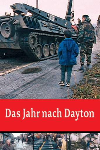 Movie poster for The Year After Dayton (1997)