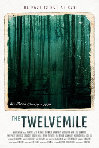 The Twelvemile poster