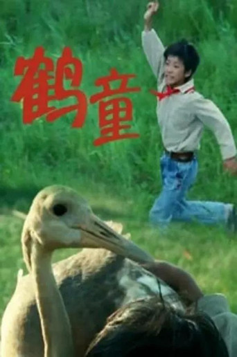 Movie poster for 鹤童