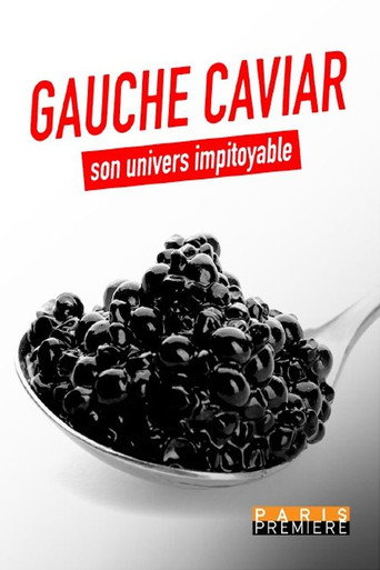 Movie poster for Gauche caviar, son univers impitoyable (2022)