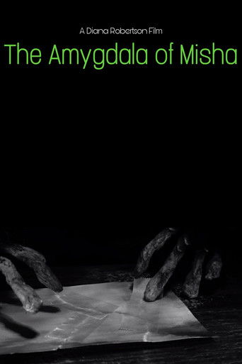 The Amygdala of Misha poster
