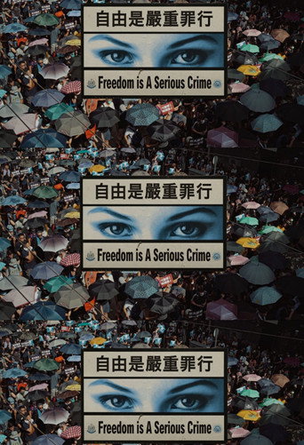 Movie poster for Freedom Is A Serious Crime (2020)