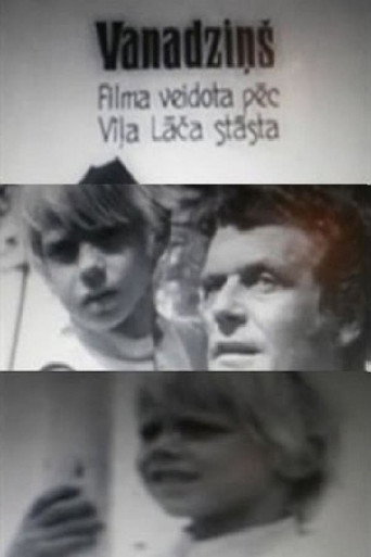 Movie poster for Little Hawk (1972)