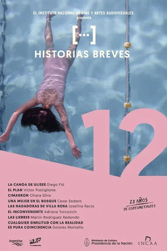 Movie poster for Historias breves 12 (2016)
