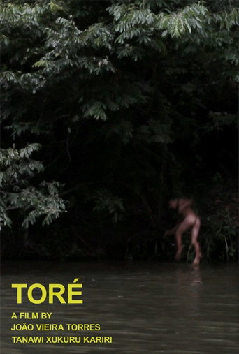 Movie poster for Toré (2015)