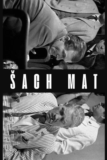 Movie poster for Šach mat (1964)