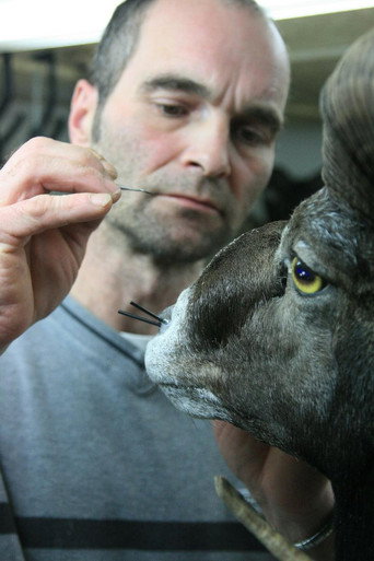Movie poster for Taxidermist (2010)