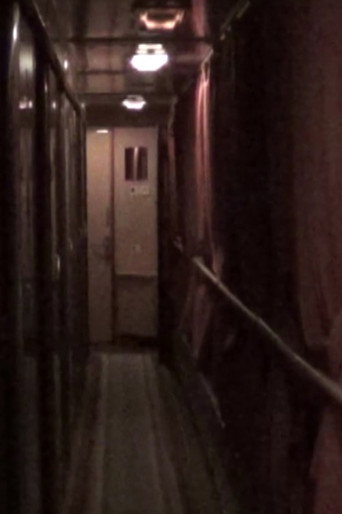 Movie poster for Train (2022)