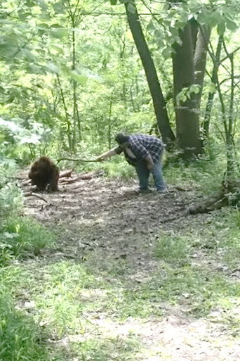 Movie poster for Bigfoot (2017)