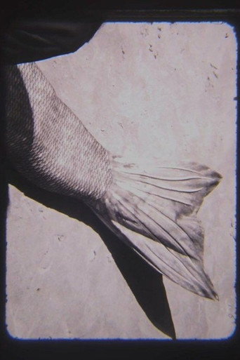 Movie poster for MER (2023)