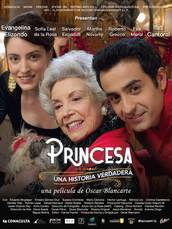Princess, A True Story poster