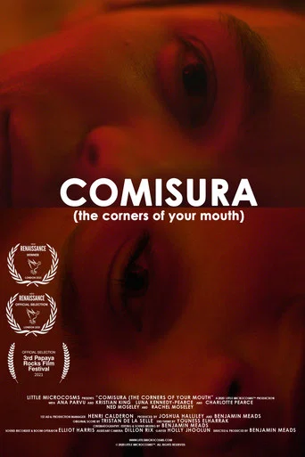 Movie poster for Comisura (The Corners of Your Mouth) (2021)