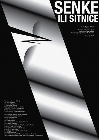 Shadows and Minutiae poster